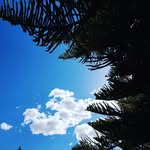 joe - @joespainc - Instagram
