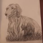 Josie - @joes_paint - Instagram