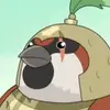 JoeSparrow - @joesparrow__ - TikTok