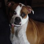 Joe Squires - @joe.squires318 - Instagram