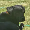 Joe Stamps - @joe.stamps8 - TikTok