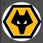 Joe Statham - @wolvesjoe100 - Instagram