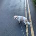 Joe Stead - Facebook