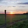 Joe Sterling - @sterling.5.0 - TikTok