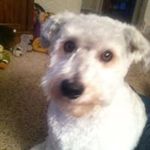 Joe Stiles - @stiles.joe - Instagram