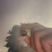Joel Stiles - Facebook