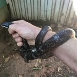 Joe Stine - @joe.stine.56 - Instagram