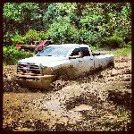 Joe Stiner - @diggerjoe - Instagram