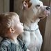 Joe Stocks - Facebook