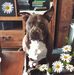Jo Stockman - Facebook