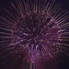 JoshStrausbaugh - @joshstrausy58 - TikTok