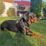 Jörg  Strecker - @joergstrecker73 - Instagram