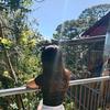 joesurla - @joanna092922 - TikTok