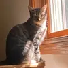 joey_sunseri - @joey_sunseri - TikTok