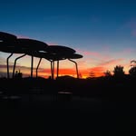 Joe Surace - @johnconner2 - Instagram