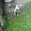 Joe Sutton - @joe.sutton34 - TikTok