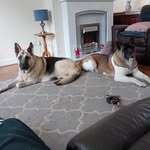 Joe Sutton - @josutt1807 - Instagram