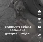 Joe Tai - Facebook