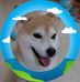 Joe Tam - Facebook