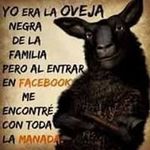 Joe Thames - @elver_gagrosa - Instagram