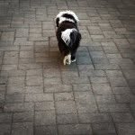 Joe Thiel - @joethiel4 - Instagram