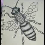 Joe Tiller - @animaljt - Instagram