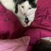Joesph Triver - Facebook