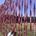 Joe Tomko - @tcesliver - Instagram
