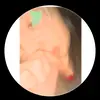 joelinatrout1234 - @joelinatrout1234 - TikTok