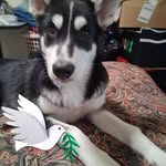 Joey Ulmer - @joey.andgloria2010 - Instagram