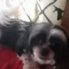 Joe Valentini - @joe.valentini - TikTok