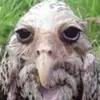 joevalentinee - @joevalentinee - TikTok