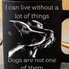 Joe Valone - @joe.valone - TikTok