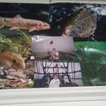joe vasquez - @joevasquez2733 - Instagram