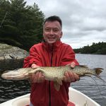 Joe Vassallo - @joe.vassallo.100 - Instagram