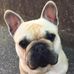 Joe Vassallo - Facebook