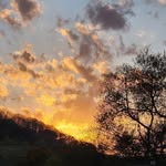 Joe Veltri - @veltri7 - Instagram