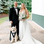 Joe Vitelli - @joe_vitelli - Instagram