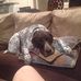 Joe Vogt - Facebook
