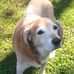 Joe Vogt - Facebook