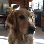Joe Wadlinger - @jwadjr - Instagram
