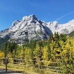Joe Waldner - @joe.waldner.5095 - Instagram
