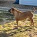 Joe Waldner - Facebook