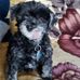Joe Waldner - Facebook