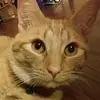 Joe Waldrop - @joewaldrop - TikTok