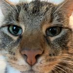 Joe W - @joe.walling07 - Instagram