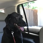 Joe warden - @warden940 - Instagram