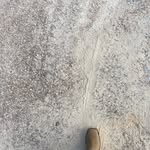 Joe warden - @unlimited_jfkn - Instagram