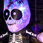 Joe Weems - @weemsjoe - Instagram