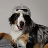 Joe Weigel - @joebonic_ - TikTok